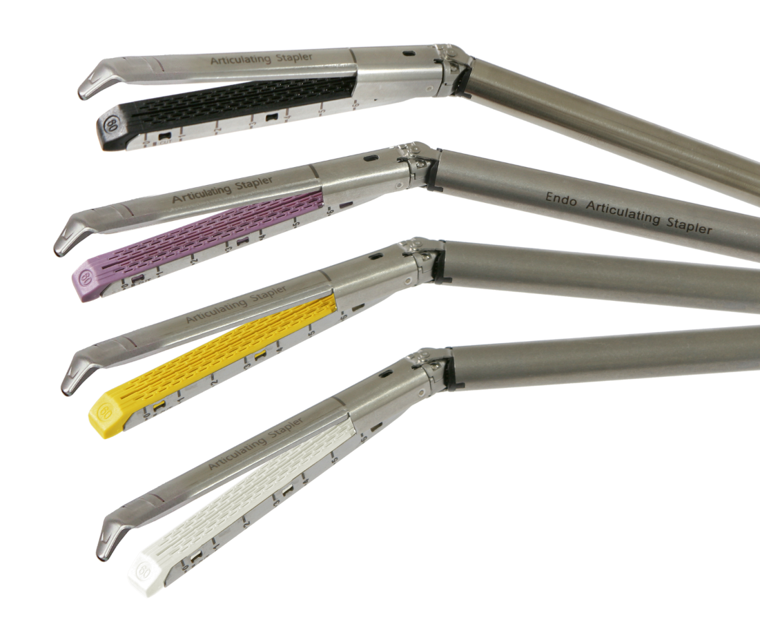 Disposable Endoscopic Staplers and Reloads QMBE